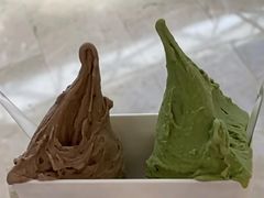 -野人先生现做冰淇淋(深圳壹方城店)