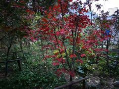 -大伊山景区