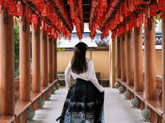 -上海东林寺(金山区)
