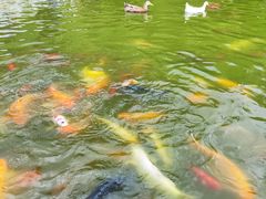 -月牙潭公园