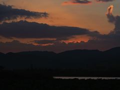 -庾园