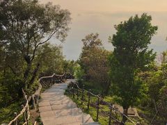 -梧桐山风景名胜区