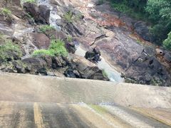 -广州白江湖森林公园