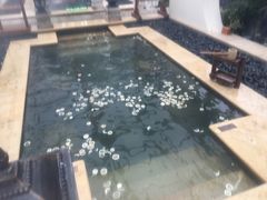 -苏州湾王焰温泉度假酒店
