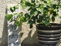 -姚记肚包肉(牛街春风社区店)