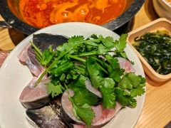 -老凯俚酸汤鱼(多彩城店)