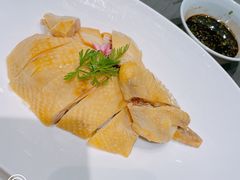 -望乡楼上海菜(日月光店)