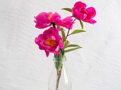 -BHG Market Place(水游城店)