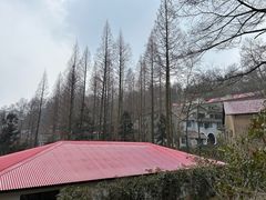 -莫干山风景区