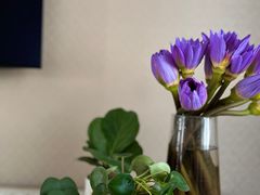 -循礼门鲜花花市(武汉循礼门店)