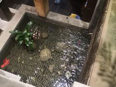 -巴国九王爷火锅(万盛总店)