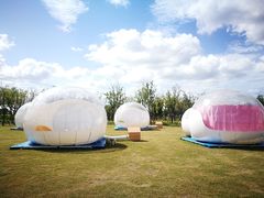 -春花秋色城市公园