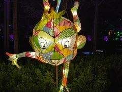 景点-南宫五洲植物乐园