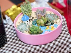 -北京之星奔驰4S店(亦庄店)