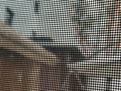 -后湖小院·乡野田园菜