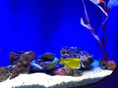 -上海海洋水族馆