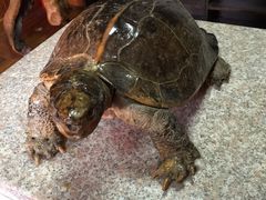 -南京金牛湖风景区