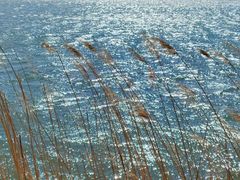 -野鸭湖国家湿地公园