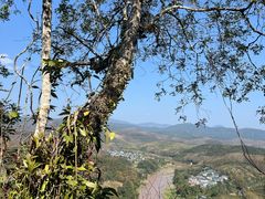 -中国科学院西双版纳热带植物园