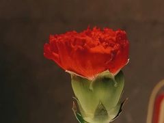 -潇湘府PLUS(大族广场店)