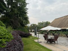 -老房子金沙元年川菜食府·花园餐厅(金沙店)