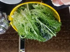 蔬菜小拼-草原饭店火锅