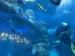 -海合安青岛极地海洋公园