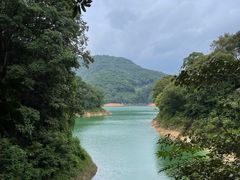 -广州市流溪河国家森林公园