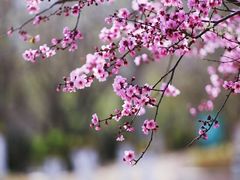 -河北省园博园