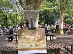 -上海共青森林公园