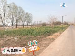 -嘉北郊野公园