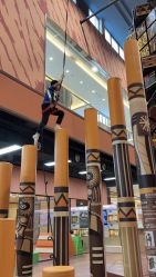 -卡通尼·Safari非洲探索乐园·生日会(金桥国际商业广场店)