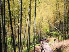 -藏龙百瀑风景区