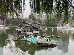 -团结湖公园