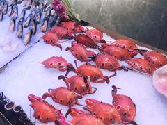 -粤海璇宫·木棉花高空旋转餐厅·聚会派对