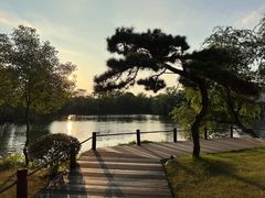 -新荣记(西溪湿地店)