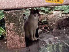 -广州兰圃