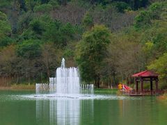 -广州白江湖森林公园