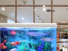 -华夏良子(京密路店)