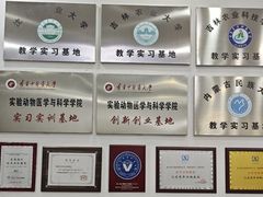 -派美特宠物医院·核磁CT·骨科肿瘤·疑难转诊(沈农禾丰店)