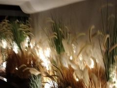 -碧涛阁·泡泡海洋·汤泉洗浴(王府花园店)