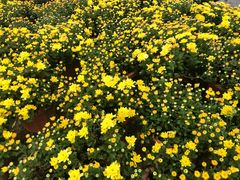 -毛氏汽水包(山海关路店)