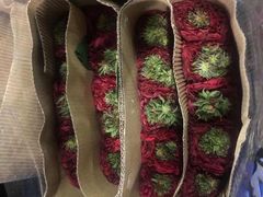 -昆明国际花卉拍卖交易中心