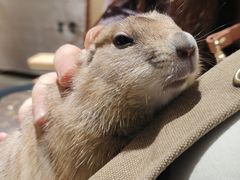 -瑞虹新天地月亮湾