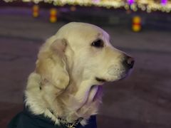 -远洋未来广场(育慧北路店)