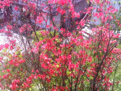 iphone_upload_pic-大明山自然探索公园