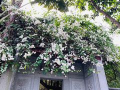 -深圳国际园林花卉博览园