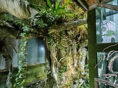 -棠小馆(御东店)