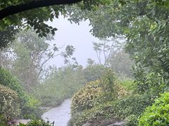 -杭州半山国家森林公园