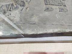 -卧龙岗文化园-南阳市汉画馆